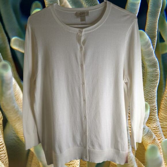 loft Large button down knit cream color cotton woman's sweater. Winter/Spring - Picture 1 of 1